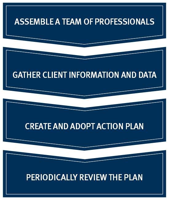 Assemble a team of professionals.  Gather client information and data.  Create and adopt action plan.  Monitor plan.